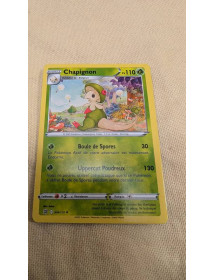 Chapignon 2022 004/172