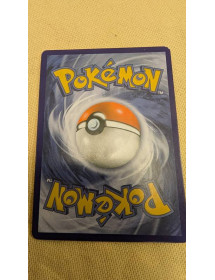 Carte Pokémon Bassin De Magma 2022