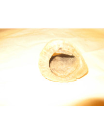 porte crayon en bois naturel
