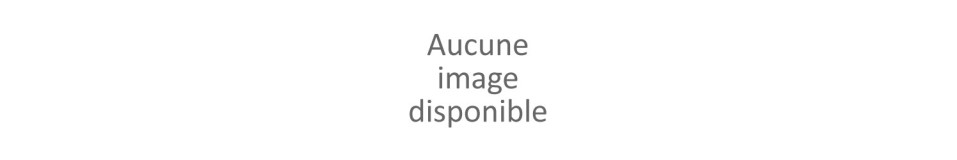 Electricité Domotique