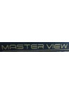 Master View